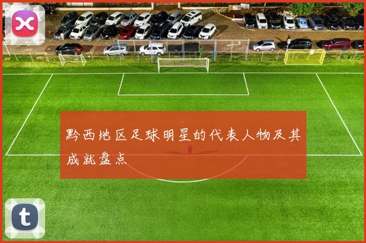 黔西地区足球明星的代表人物及其成就盘点