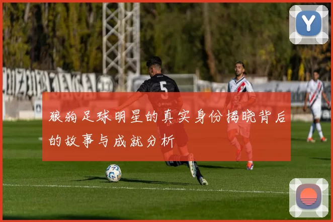 狼狗足球明星的真实身份揭晓背后的故事与成就分析