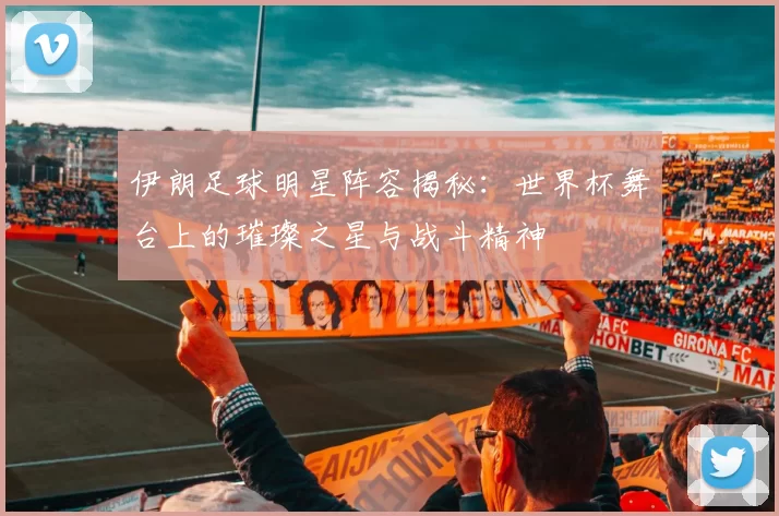 伊朗足球明星阵容揭秘：世界杯舞台上的璀璨之星与战斗精神
