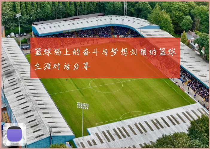 篮球场上的奋斗与梦想刘丽的篮球生涯对话分享