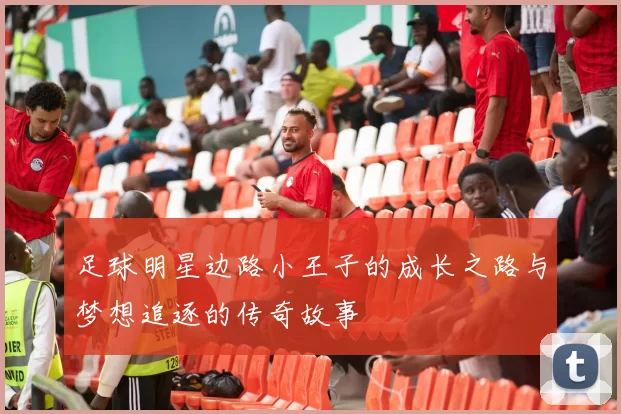 足球明星边路小王子的成长之路与梦想追逐的传奇故事