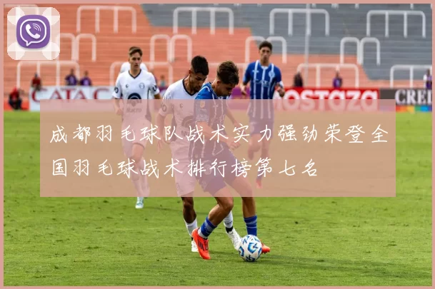 成都羽毛球队战术实力强劲荣登全国羽毛球战术排行榜第七名