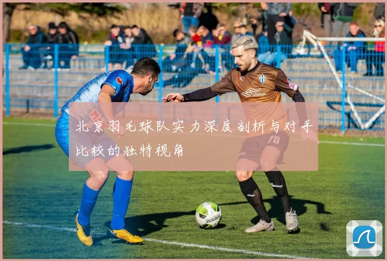 北京羽毛球队实力深度剖析与对手比较的独特视角