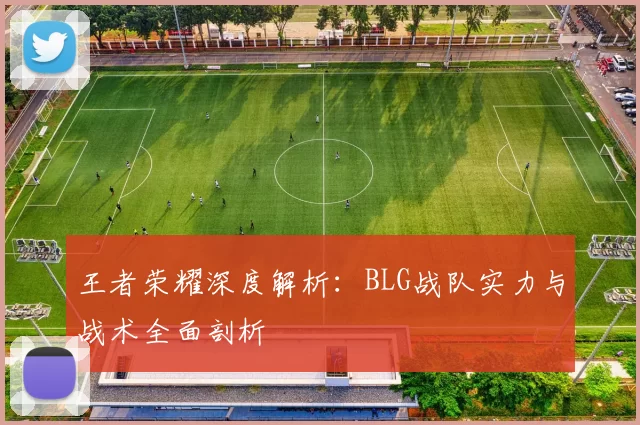 王者荣耀深度解析：BLG战队实力与战术全面剖析