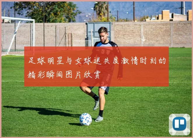 足球明星与女球迷共度激情时刻的精彩瞬间图片欣赏