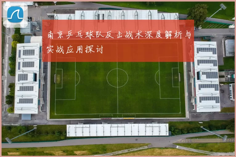 南京乒乓球队反击战术深度解析与实战应用探讨
