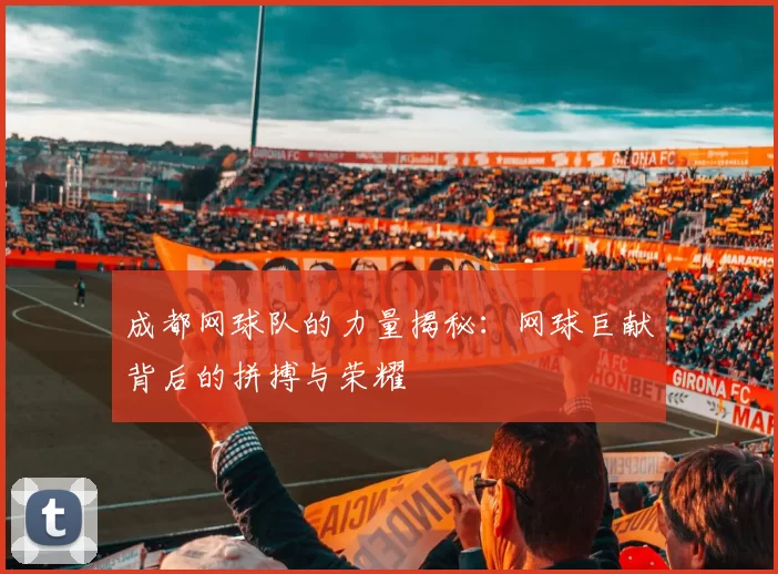 成都网球队的力量揭秘：网球巨献背后的拼搏与荣耀