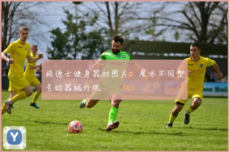 诺德士健身器材图片：展示不同型号的器械外观