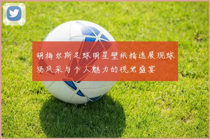 胡梅尔斯足球明星壁纸精选展现球场风采与个人魅力的视觉盛宴