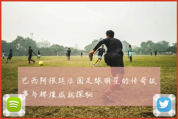 巴西阿根廷法国足球明星的传奇故事与辉煌成就探秘