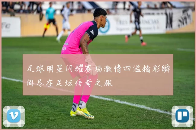 足球明星闪耀赛场激情四溢精彩瞬间尽在足坛传奇之旅