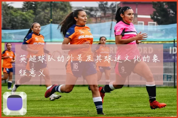 英超球队的外号及其球迷文化的象征意义