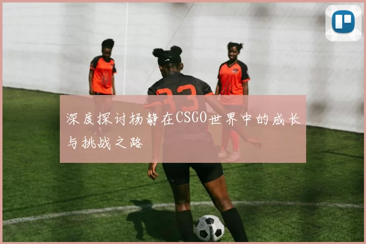 深度探讨杨静在CSGO世界中的成长与挑战之路