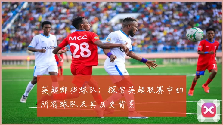 英超哪些球队：探索英超联赛中的所有球队及其历史背景