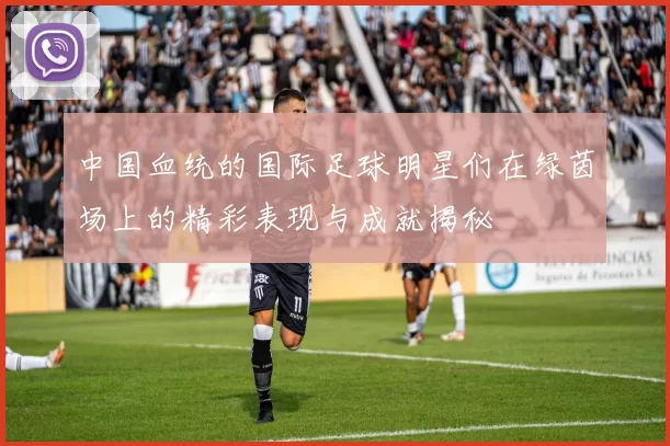 中国血统的国际足球明星们在绿茵场上的精彩表现与成就揭秘