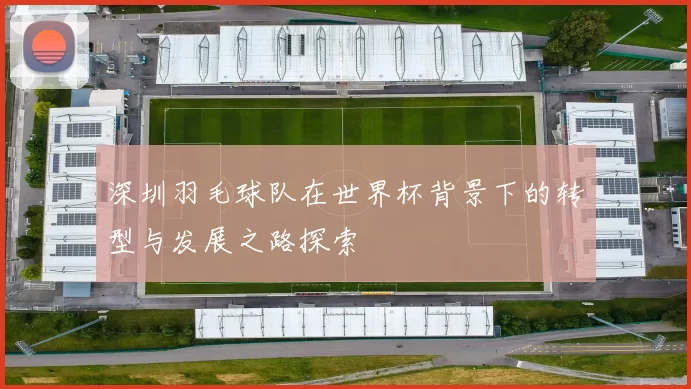 深圳羽毛球队在世界杯背景下的转型与发展之路探索