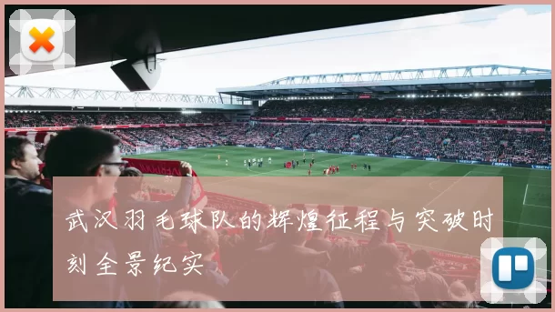 武汉羽毛球队的辉煌征程与突破时刻全景纪实