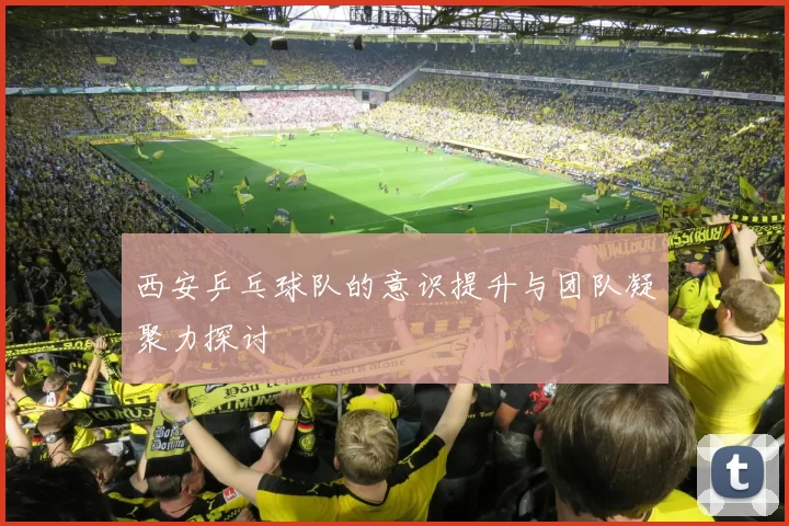 西安乒乓球队的意识提升与团队凝聚力探讨