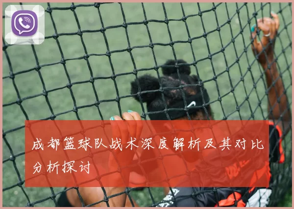 成都篮球队战术深度解析及其对比分析探讨